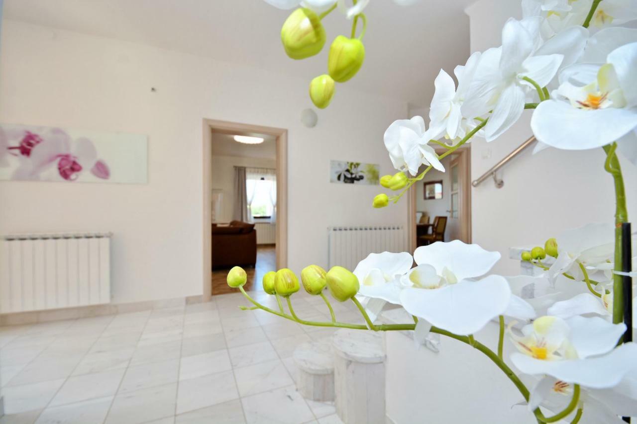 Villa Zupan Zadar